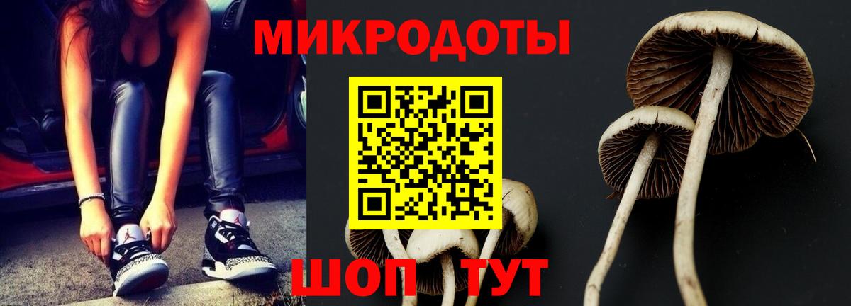 продажа наркотиков  Вход с VPN  Курчалой  Галлюциногенные грибы мицелий 