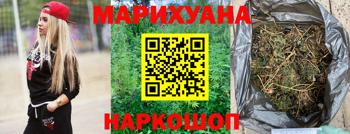 Канабис планчик  Вход с VPN  Канабис семена  Курчалой  Бошки марихуана сатива 